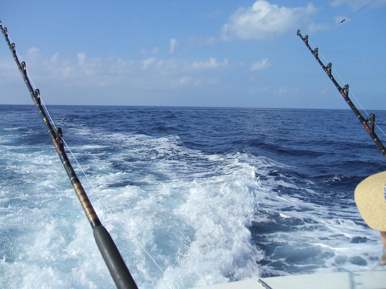 Pesca em alto-mar para pescadores iniciantes e experientes