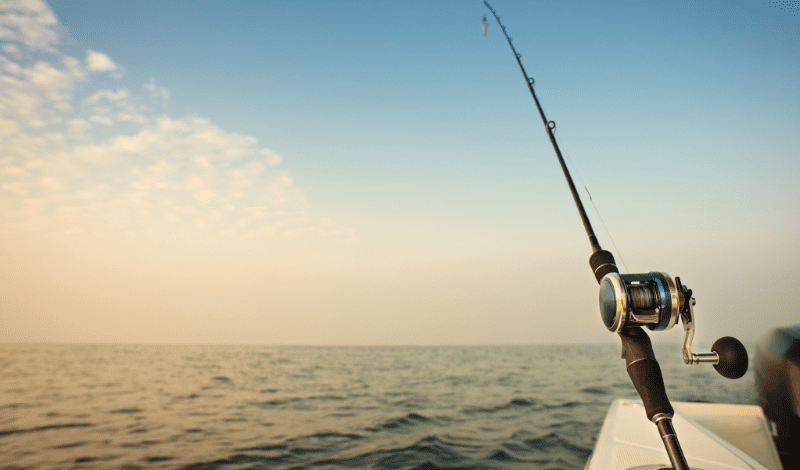 Explorando a Pesca de Fundo: Estratégias avançadas para aumentar suas capturas