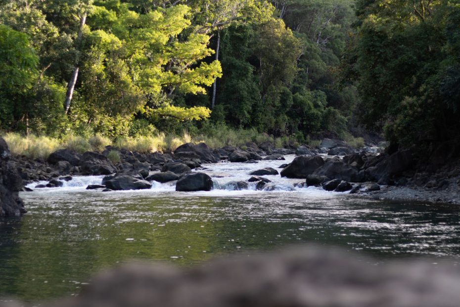Tranquil river flowing through lush forest in San Fernando, MIMAROPA, Philippines.